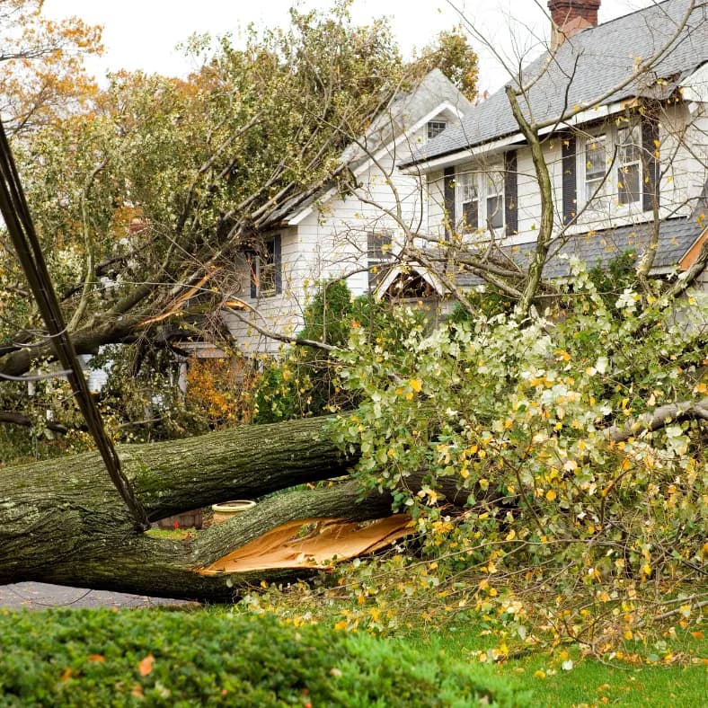 Damaged Home