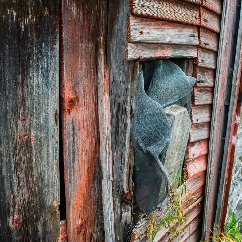 Disrepair